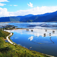 纳帕海(依拉草原)