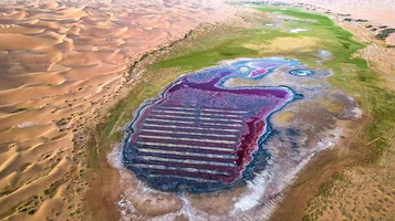 腾格里沙漠吉他湖