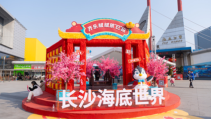 长沙海底世界第 13 张图片