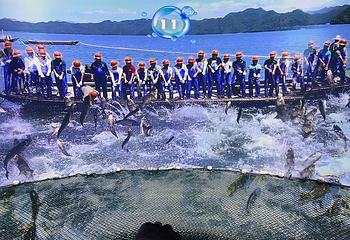 千岛湖梦之岛乐园第 20 张图片