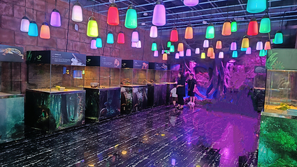 梅溪海洋公园(步步高梅溪新天地店)第 43 张图片