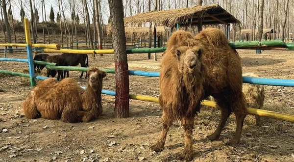 侯马林下生态观光体验园