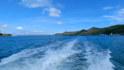 品清湖海上观光游第 19 张图片