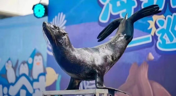 东湖公园冰雪嘉年华