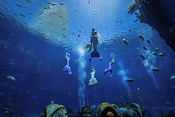 三亚亚特兰蒂斯失落的空间水族馆第 135 张图片