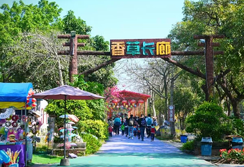 花都香草世界第 85 张图片