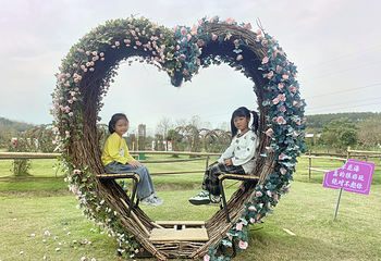 月季花海第 20 张图片