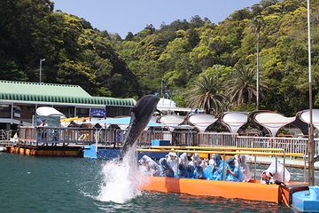 下田海中水族馆第 15 张图片