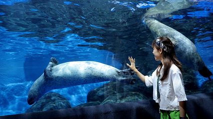 上海海洋水族馆第 52 张图片