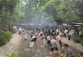 清水里森林营地第 40 张图片