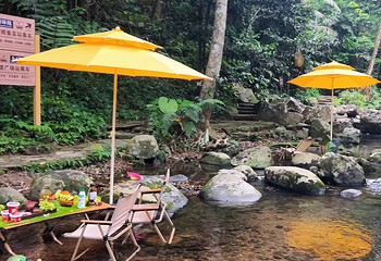 海南百花岭热带雨林文化旅游区第 79 张图片