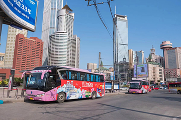 大连旅游观光巴士第 3 张图片