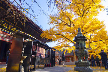 红螺寺第 140 张图片