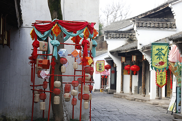 西溪国家湿地公园第 102 张图片