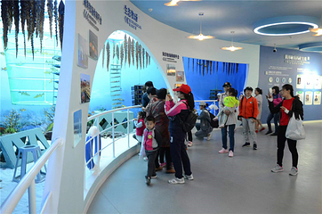 爱伦湾海洋牧场第 24 张图片