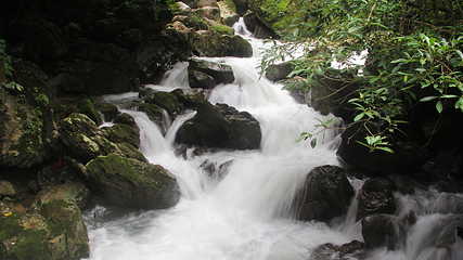 古龙山大峡谷第 29 张图片