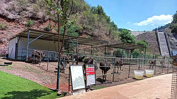 宝石洞风景区萌宠乐园