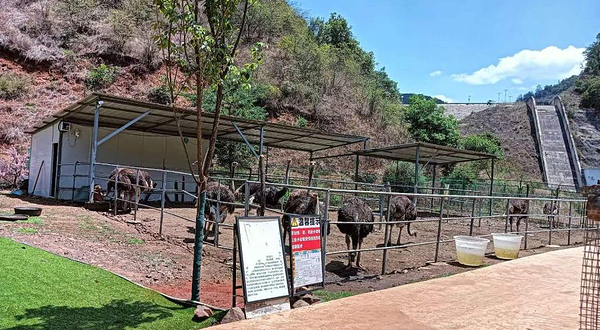 宝石洞风景区萌宠乐园