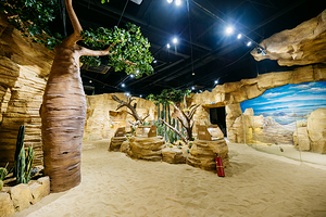 虫返侏罗纪·爬行动物博物馆