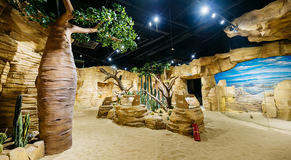 虫返侏罗纪·爬行动物博物馆