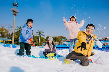 侏罗纪雪世界第 10 张图片