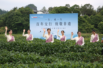 武夷香江茗苑第 45 张图片