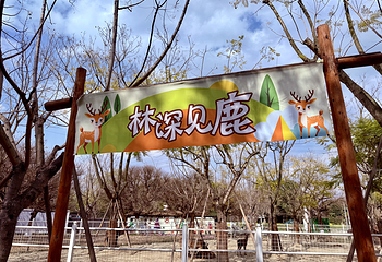 鹿溪花园第 2 张图片