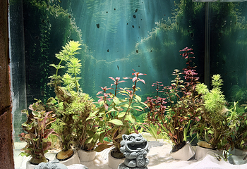 成都海洋世界第 10 张图片