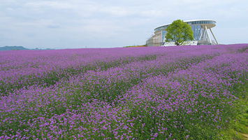 四月乡村中国供销主题园