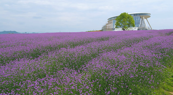四月乡村中国供销主题园