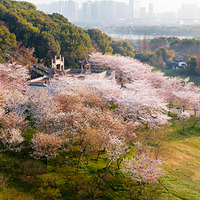 苏州上方山国家森林公园