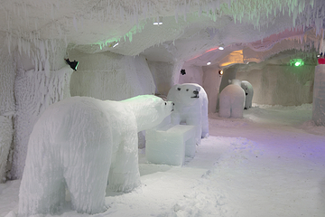 北极熊冰雪王国第 9 张图片