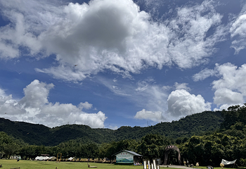 天龙溪自然风景区第 31 张图片