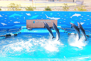 仙台海洋森林水族馆第 1 张图片