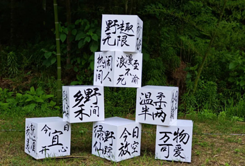 安吉宋茗茶博园第 14 张图片