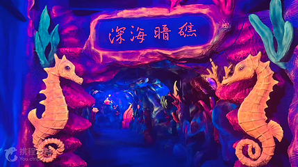 济宁海洋馆第 5 张图片