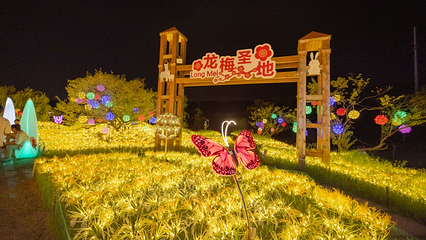 九龙湾花星球第 57 张图片
