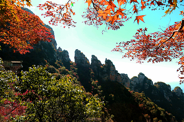 白石山世界地质公园第 114 张图片