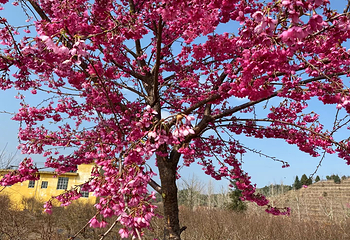 云峰山·狮子寨生态旅游景区第 2 张图片