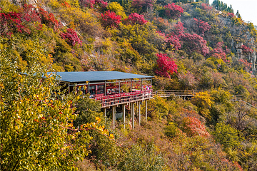 青铜山大峡谷第 48 张图片