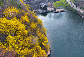 九如山休闲旅游度假区第 146 张图片
