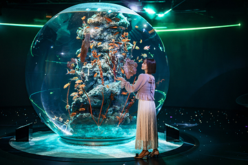 神户都市型水族馆 AQUARIUM×ART átoa第 10 张图片