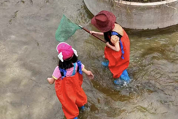 千岛Happy森林第 11 张图片