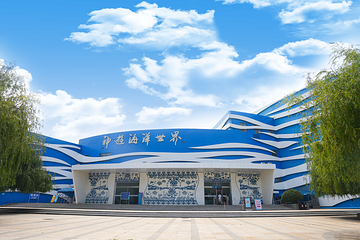 威海神游海洋世界第 6 张图片