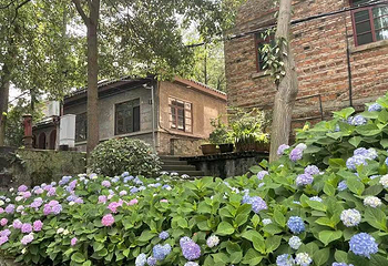 嘉阳桫椤湖旅游景区第 19 张图片