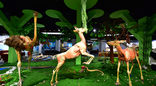 生命与健康科学馆