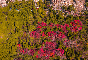 青铜山大峡谷第 192 张图片