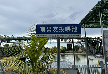 鳄珍鳄鱼园第 23 张图片