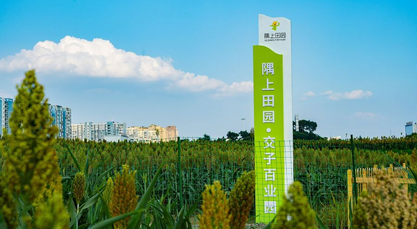 环城生态区·隅上田园交子百业