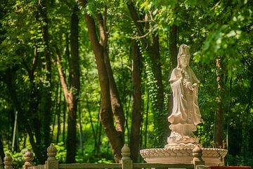灵山胜境第 131 张图片